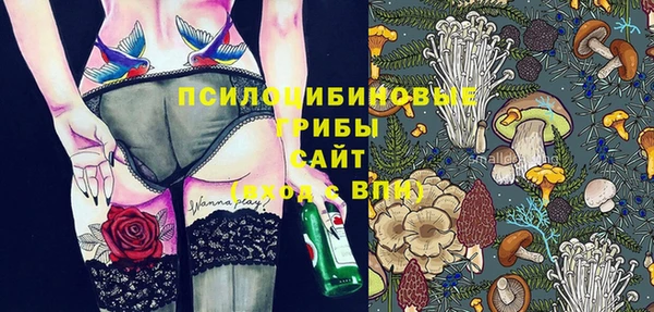 прущие грибы Надым
