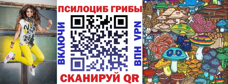 продажа наркотиков  Тюкалинск  Псилоцибиновые грибы MAGIC MUSHROOMS 